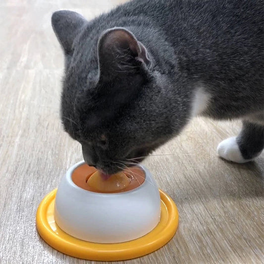 Pet Lick Bowl
